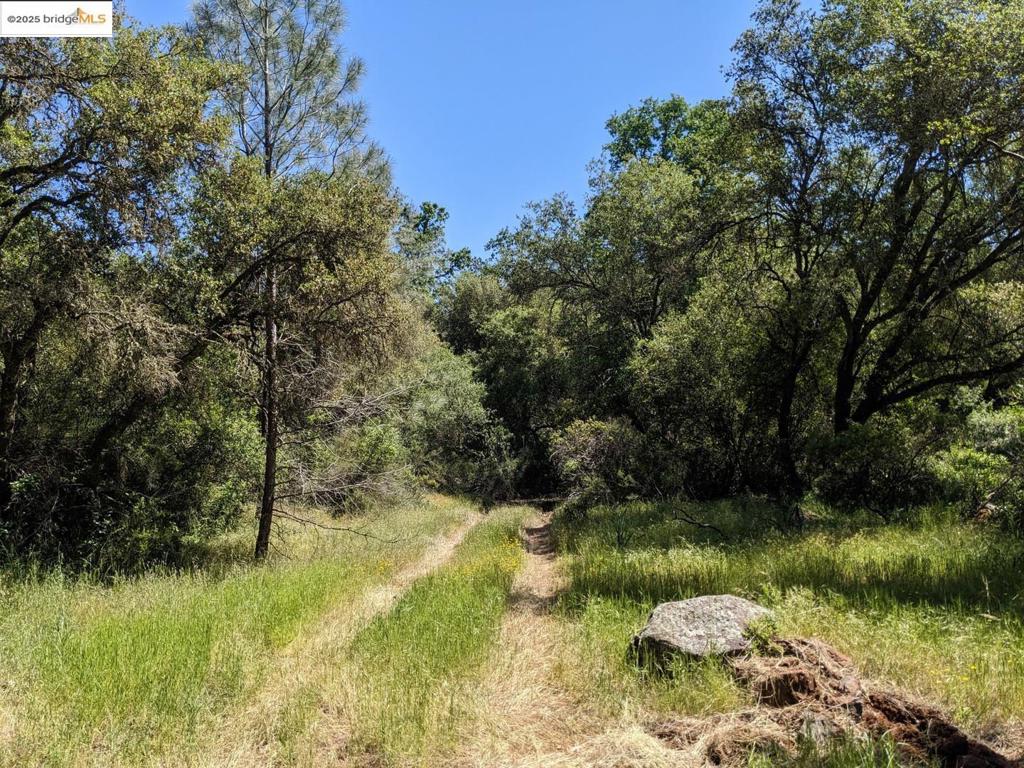 4095 Green Valley RD