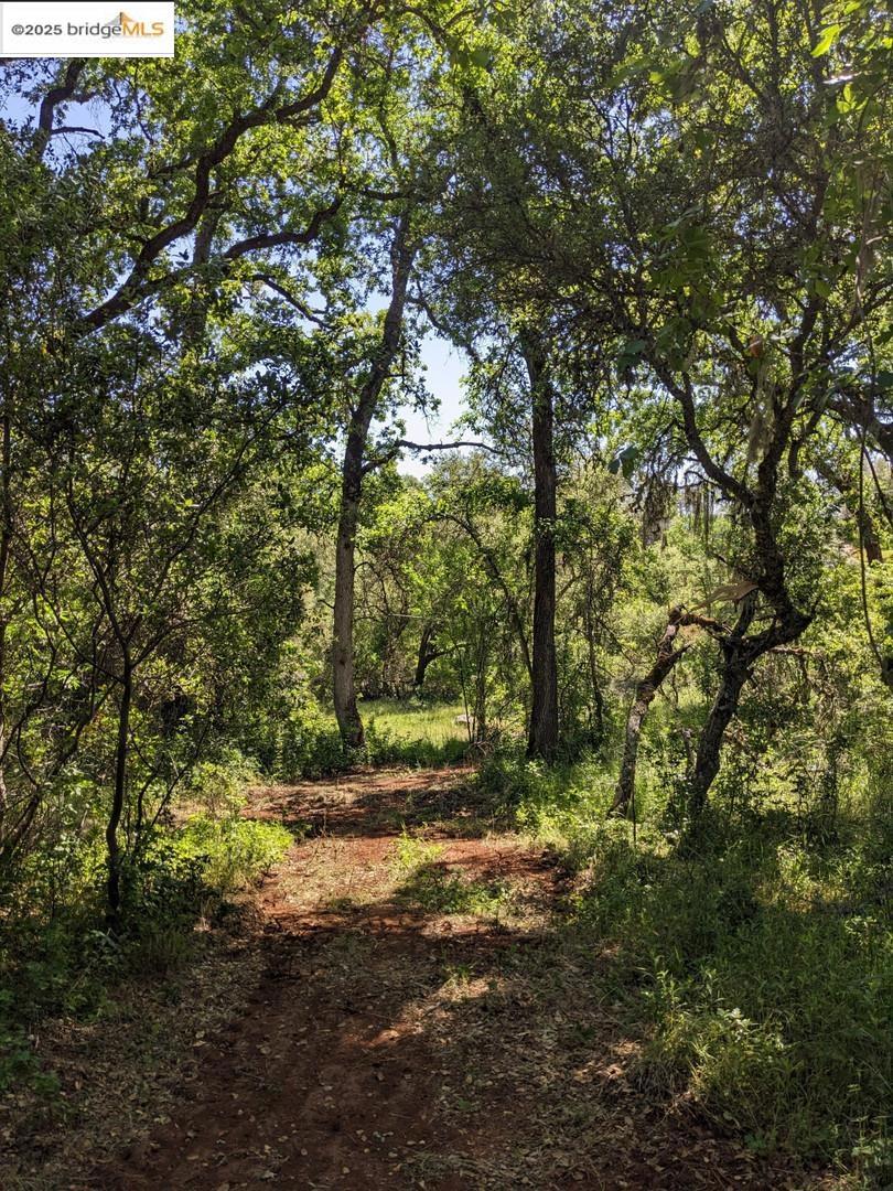4095 Green Valley RD