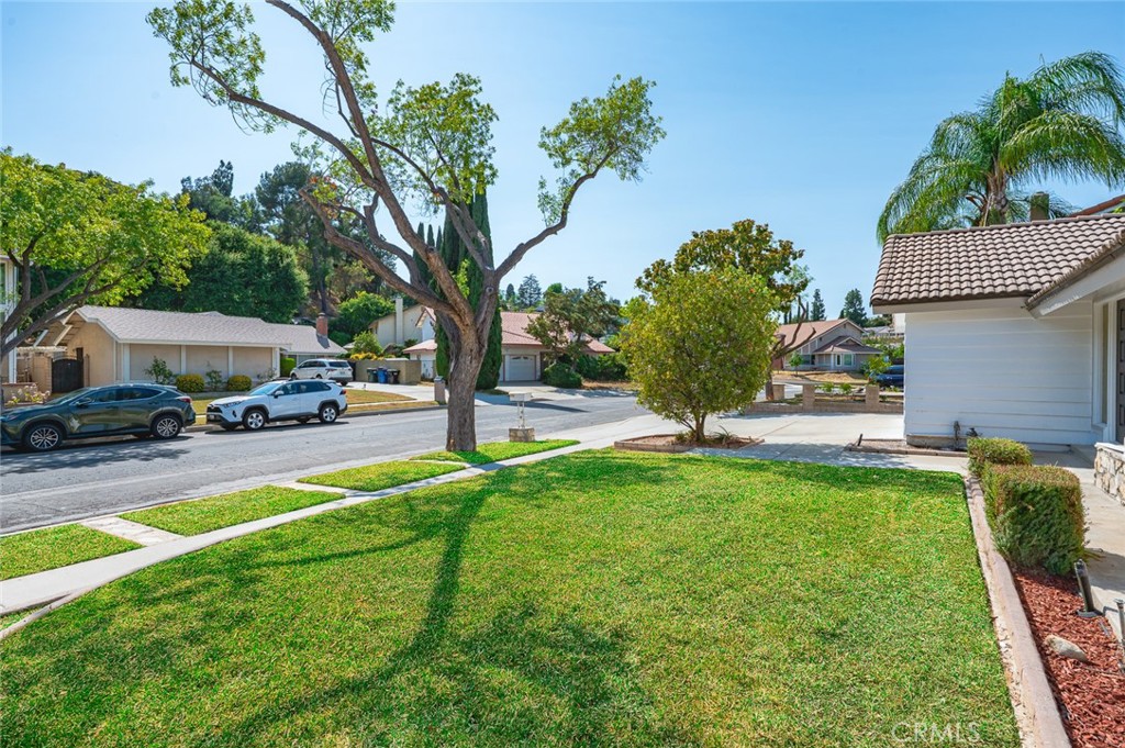 2330 Donosa Drive