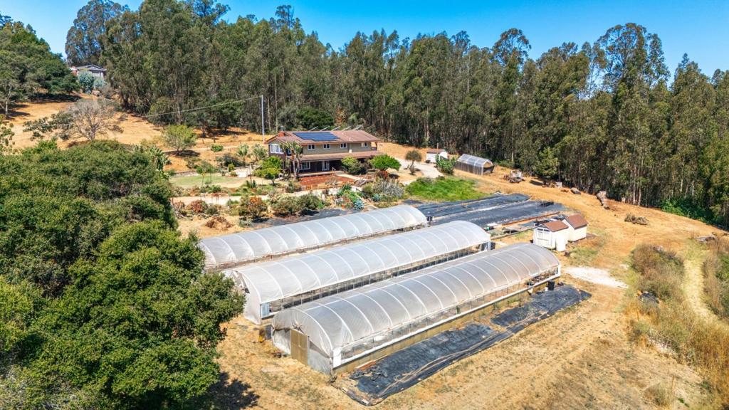 Discover an extraordinary opportunity at 134 Trabing Rd, where a spacious 2,815 SF home awaits in the serene Larkin Valley area. Nestled on a sprawling 4.22-acre lot, this 6-bed, 3.5-bath rural residence offers immense potential for customization and upgrades. Perfect for large families, multigenerational living, or entertaining. The expansive lot presents endless possibilities, serving as an ideal canvas for creating your dream estate, to gardening and nursery options to potential development. The estate boasts breathtaking views of rolling hills and valleys, with clear vistas toward Watsonville and its private airport, providing a stunning backdrop for daily living. The property is a botanical paradise, featuring a diverse array of trees. As the former home of California Succulents and the Northern California Cactus and Succulent Association, the land is adorned with exotic plants. Three Poly-Tex greenhouses, equipped with automatic ventilator walls, offer a unique opportunity to cultivate a variety of fruits, vegetables, and plants.The property features solar power for energy efficiency and well water for self-sufficient living, enhancing its eco-friendly appeal. Located close to Watsonville's amenities, and just 15 minutes from Santa Cruz's vibrant community and beaches.