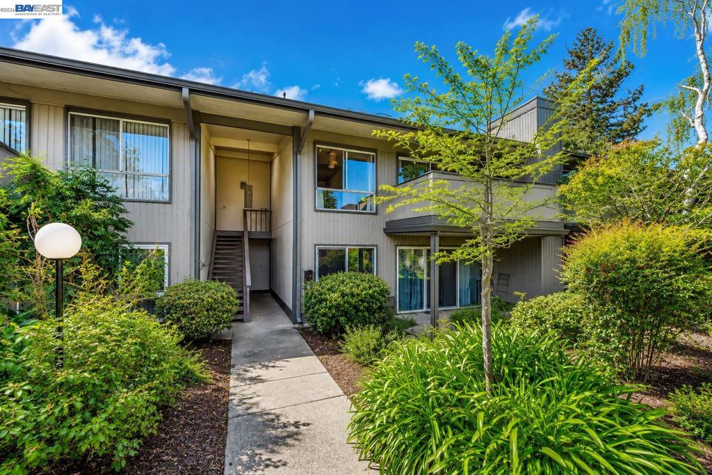121 Buckingham Dr 25