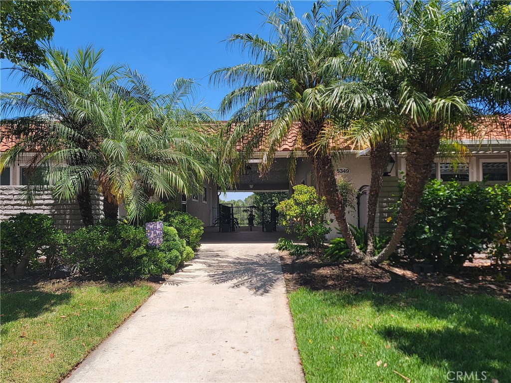 5349 Algarrobo P