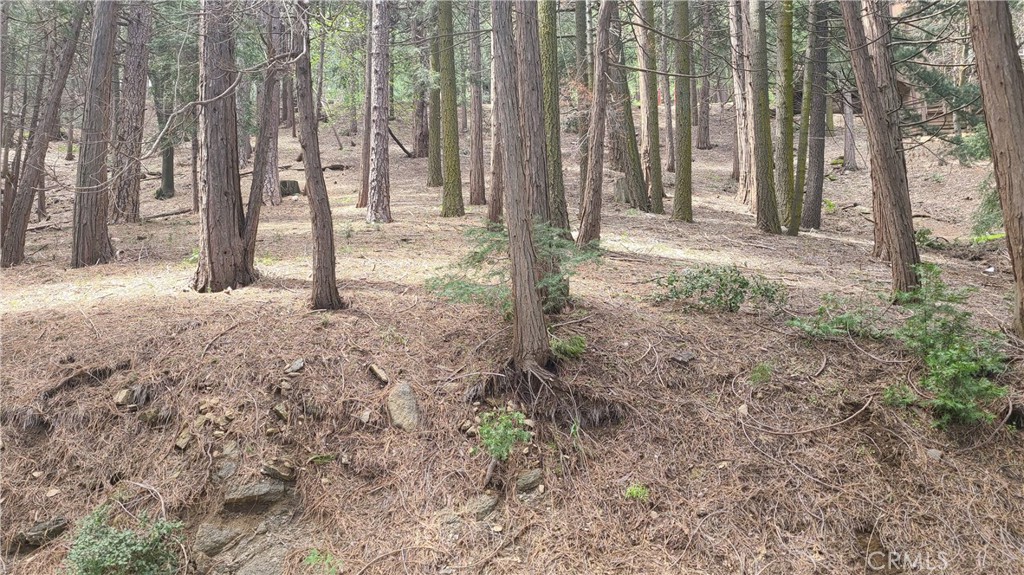 Want some peace and quiet? Here it is. This is a large 5 LOT PARCEL in the quietest area of Cedarpines Park that still has easy access. The road is dirt but well-maintained. The lot is sloped upwards from the road, but not severely so. We don't believe there is water or electricity in Reservoir Rd, but they are nearby on Mozumdar. The area is really lovely and actually very convenient to all of the recreational facilities in Lake Arrowhead and Lake Gregory. If you're looking for a large lot with a lot of privacy, this could be the one for you. Note: There is no address for this property assigned by the county as yet. The number we've used in this listing is the parcel number and is used as a placeholder only. The county will assign an address when permits to build are actually pulled.