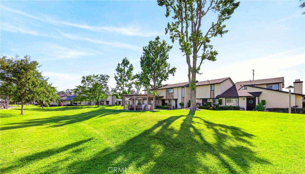 5509 Muir