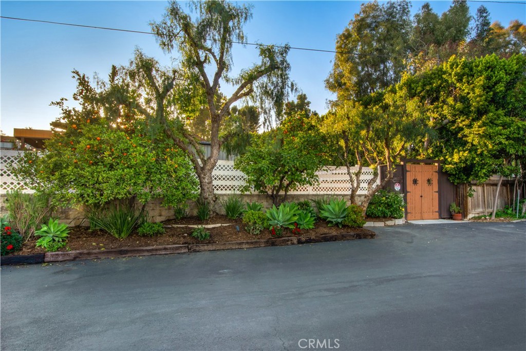 Spotted Bull Lane (SB) - Residential