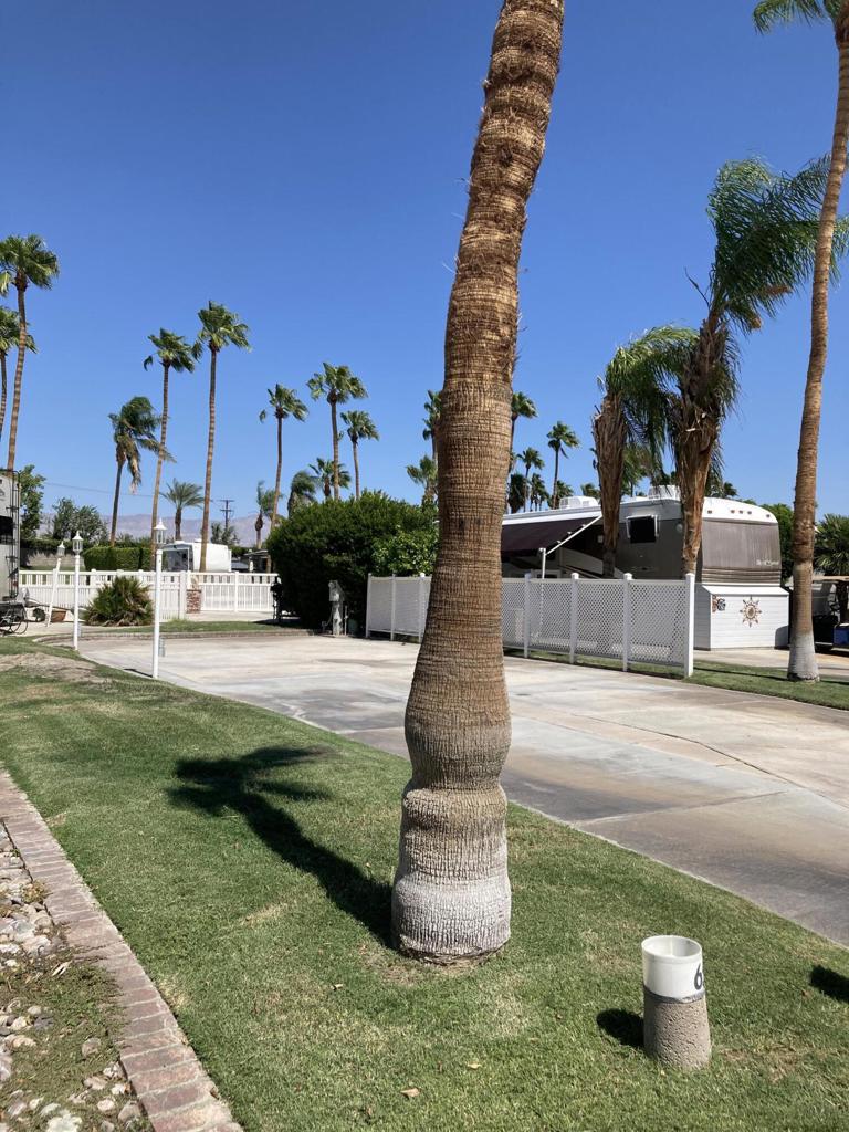 Outdoor Resorts Palm Springs - Land