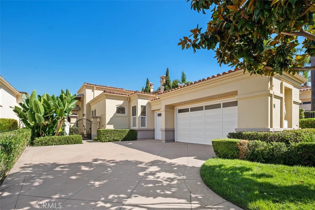 31 Monterey Pine