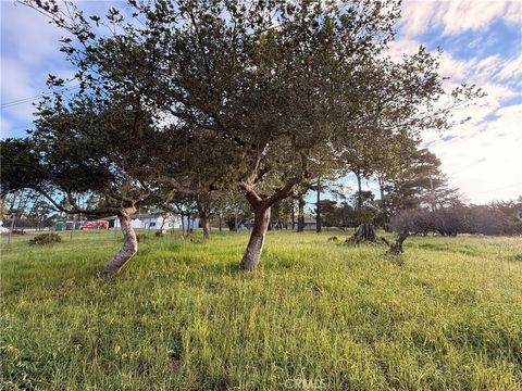 6126 Charing Cambria CA 93428