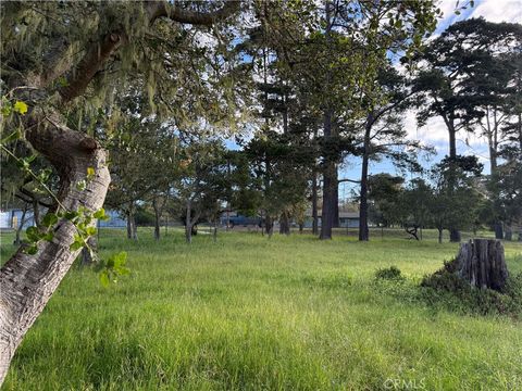 Tiny photo for 6126 Charing, Cambria, CA 93428 (MLS # NS26046154)