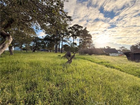 Tiny photo for 6126 Charing, Cambria, CA 93428 (MLS # NS26046154)