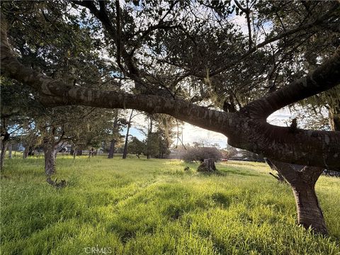 Tiny photo for 6126 Charing, Cambria, CA 93428 (MLS # NS26046154)