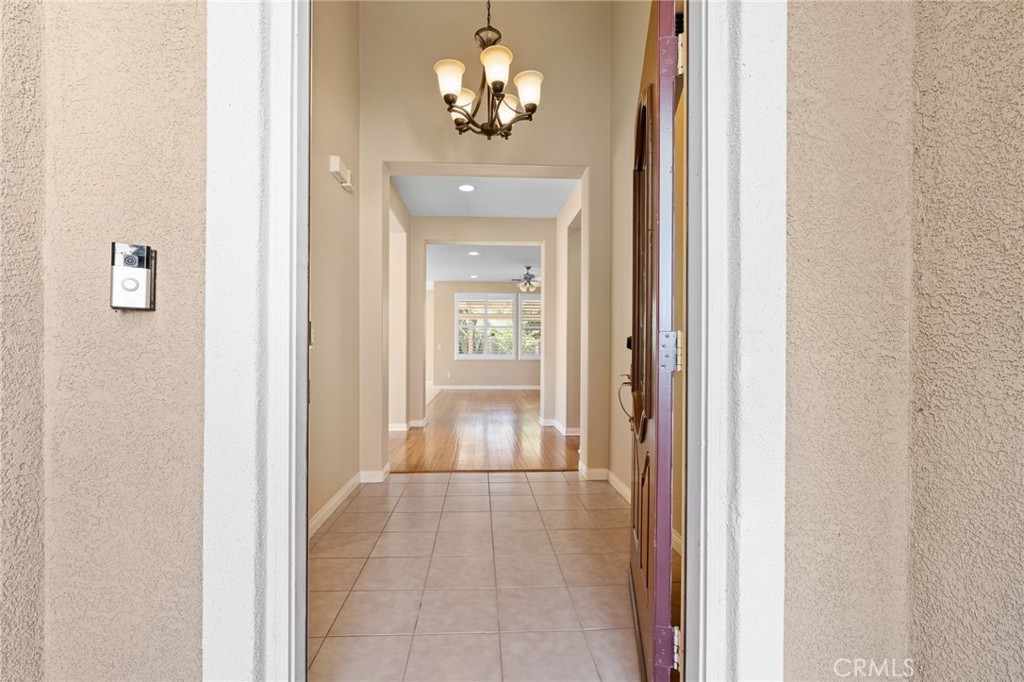 26135 Palm Breeze Lane