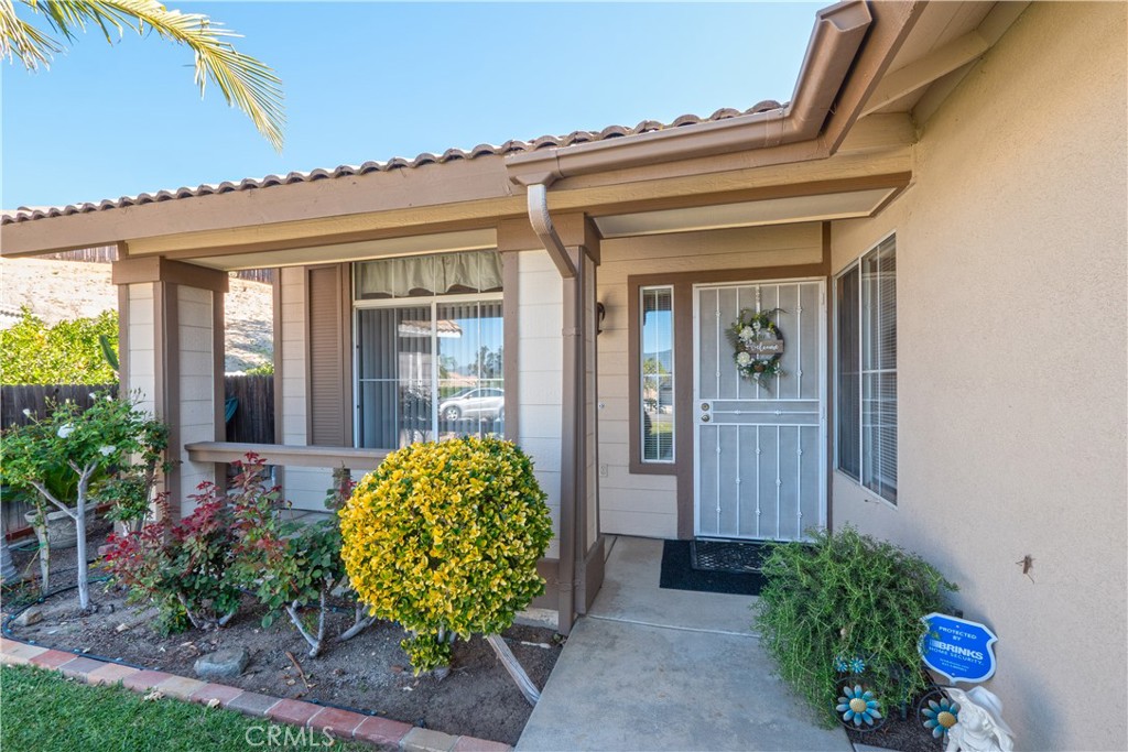 22894 Brighton Court