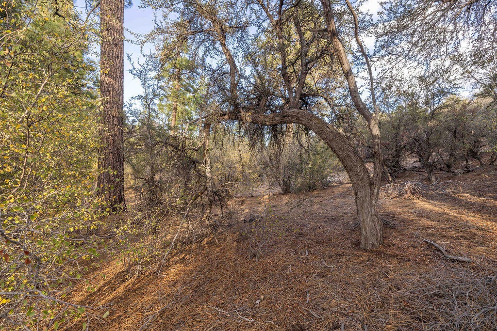 432 Woodcreek Drive
