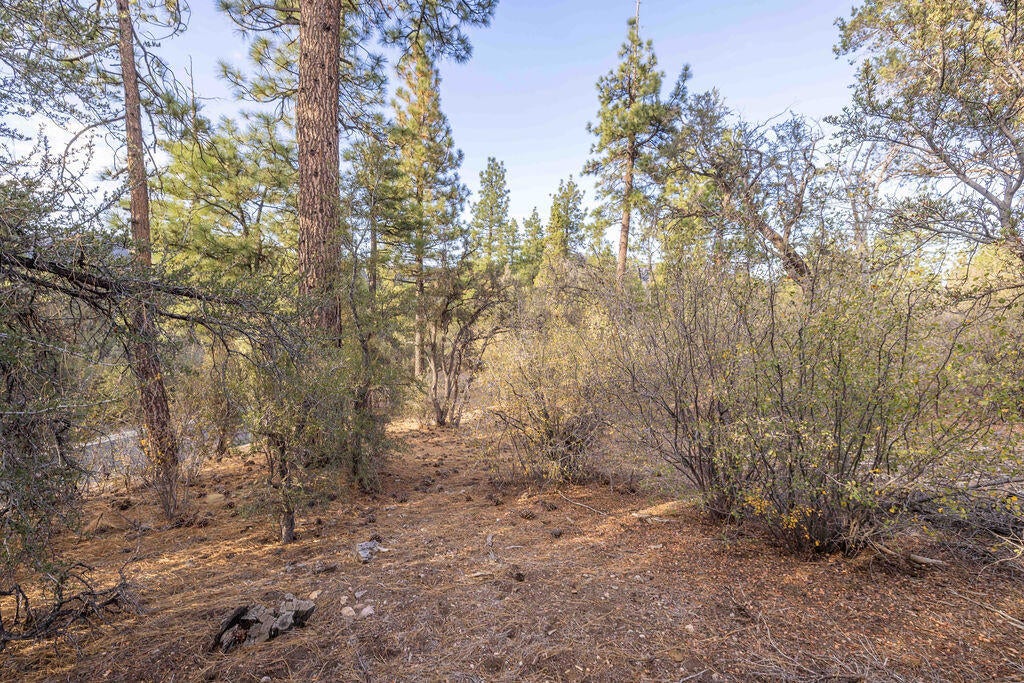 432 Woodcreek Drive