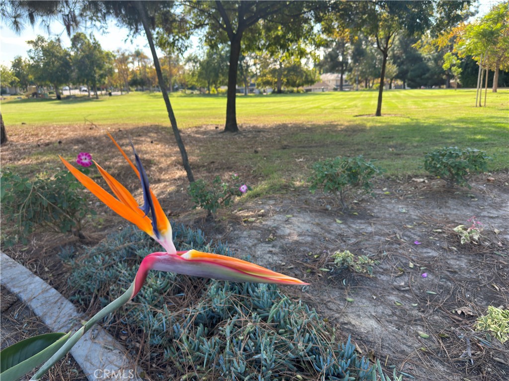 Shadow Run (SH) - Residential Lease