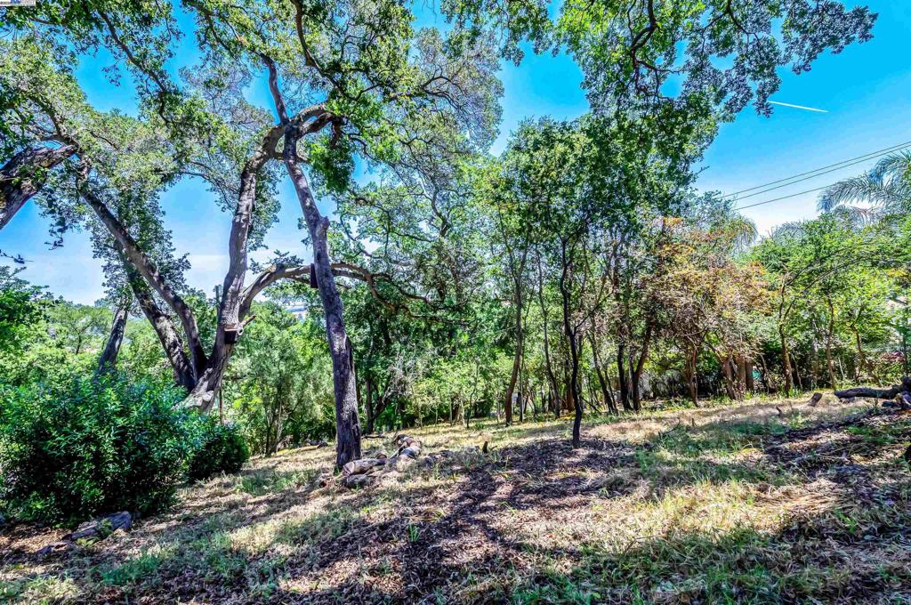 CASTLEWOOD - Residential