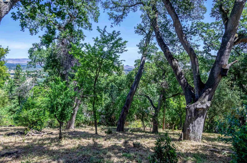 CASTLEWOOD - Residential
