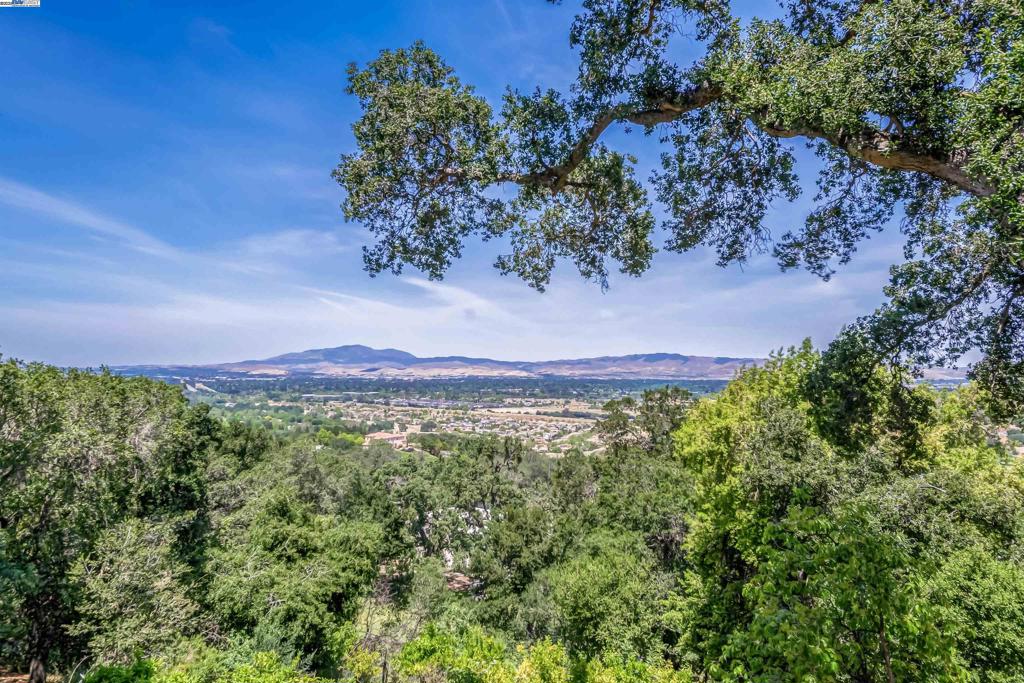 CASTLEWOOD - Residential