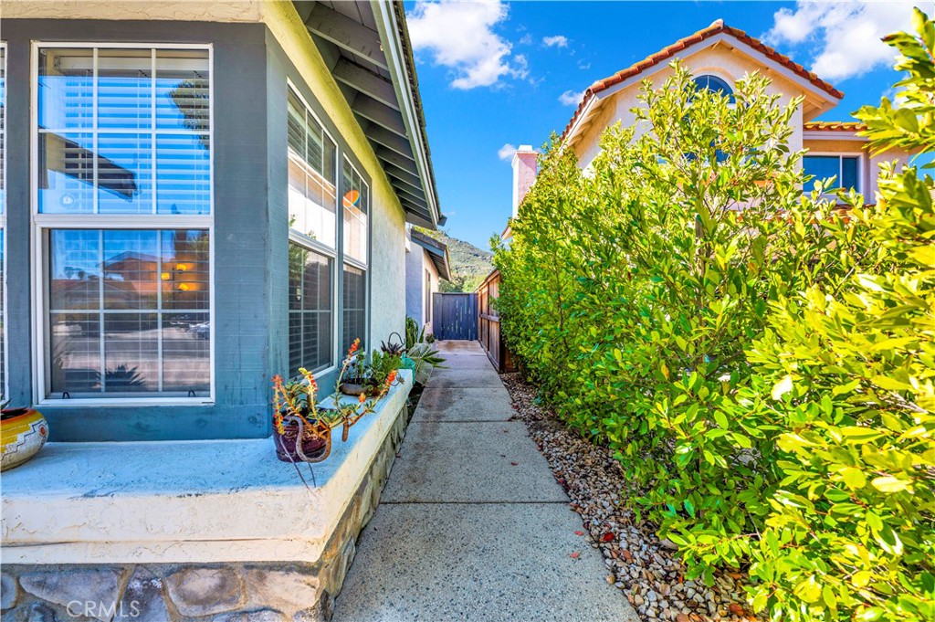 31117 Ruidosa Street