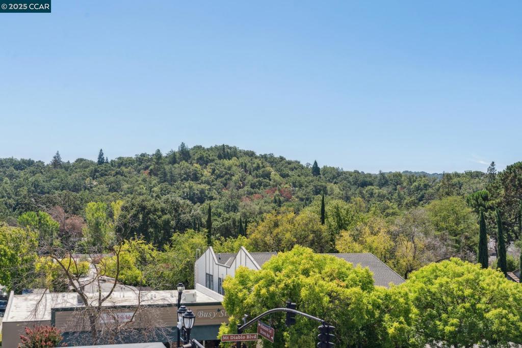 DOWNTOWN LAF - Residential