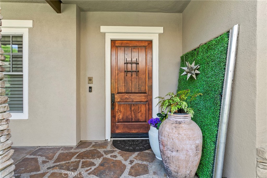 15 Pisano Street