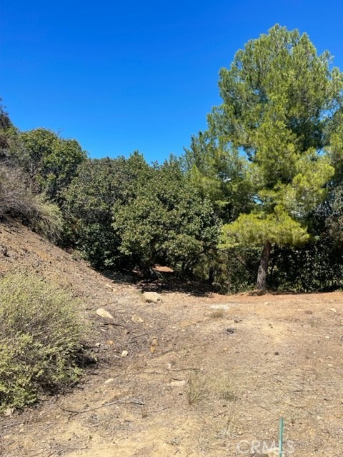 Own a piece of Bel Air / Beverly Hills, a small parcel of lush land near Beverly Glen Boulevard between Stone Canyon Reservoir and Beverly Glen Park now available. Adjacent to gorgeous neighborhood, Bel Air Ridge, of multi-million dollar homes, swimming pools and green space. Lot sold AS IS. Owner does not have any documents, reports or surveys; buyer to do their own investigations. This is an emerging high end, undeveloped residential subdivision to tap into the cachet of nearby luxury living. Act now for buildling possibilities.