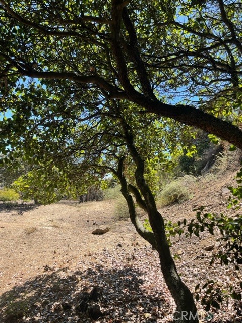 0 Subdivision 1033, Lot 19