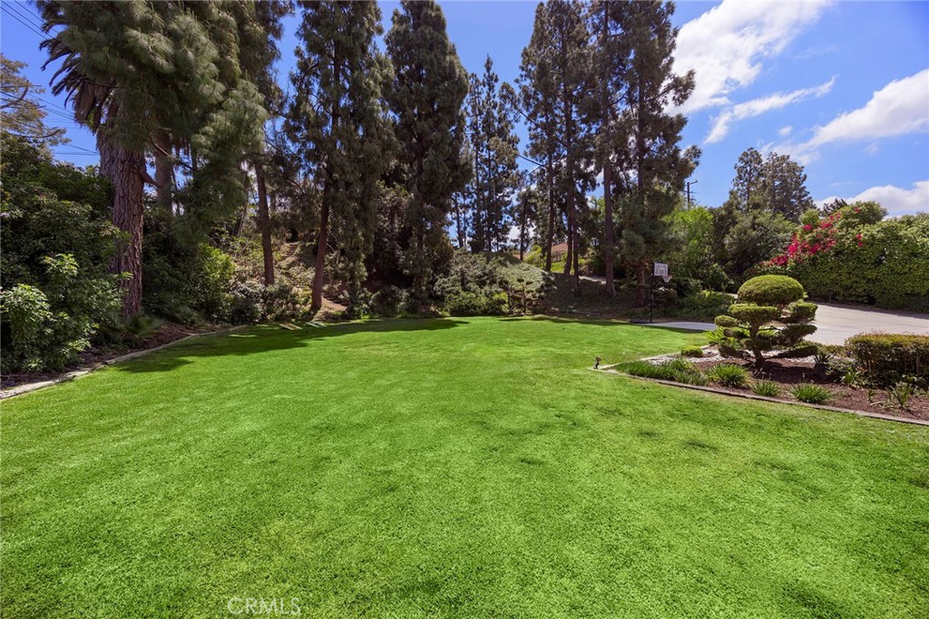 1000 Verona Drive