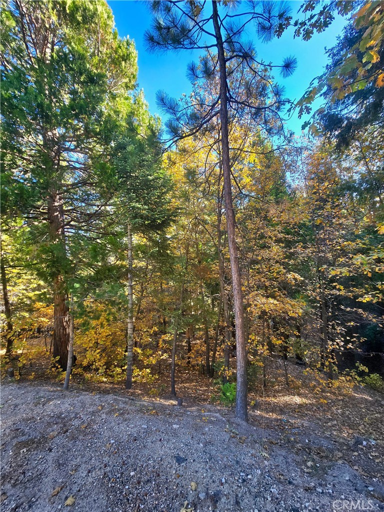 Arrowhead Woods (AWHW) - Land