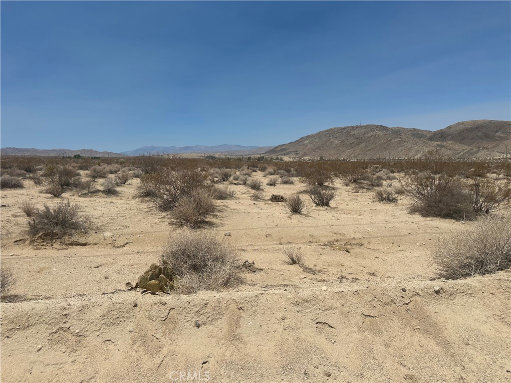 Excellent Location Slightly North of Highway 62 and just South of Whitmore Rd. on West Side of the Street, plus a short drive to the Downtowns of Joshua Tree and 29 Palms. Bring Your Vision for Your Future Development here! No street number assigned--use APN 0613-191-30-0000 for exact location. Buyers to contact County Planners for All Questions on Zoning, Building, and Usage. Also-Buyers to Contact Appropriate Utility Agencies for All Utility Questions.