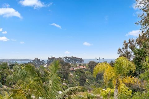 33046 Ocean Ridge Dana Point CA 92629
