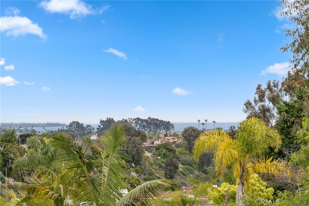 Incredible location, just 1.5 miles to Dana Point Harbor. Welcome to 33046 Ocean Ridge, a perfectly situated home in the gated Marinita Townhomes of Dana Point. Perched at the top of a quiet, single-loaded street, this home offers exceptional privacy and one of the best locations in the community. From your private deck, start your mornings with stunning sunrises and end your evenings watching the grand moonrise cresting over the hills, all while overlooking serene canyons, shimmering coastline, and twinkling city lights—so enchanting at night, the owner fondly describes them as reminiscent of Peter Pan’s Neverland. Inside, nearly 2,000 square feet of living space offers a spacious canvas with standout features like vaulted ceilings, French mullioned windows, and abundant natural light. The step-down formal living room, complete with fireplace and wet bar, opens to the back patio—ideal for relaxing or entertaining with a view. The kitchen features a breakfast bar and casual dining nook, while the formal dining room is tucked just beyond for more intimate gatherings. The home also features central air conditioning, ensuring year-round comfort. Upstairs, the generous primary suite takes in the views and includes a large ensuite bath with dual sinks, a soaking tub, a separate shower, and a walk-in closet. Two additional bedrooms share a full bathroom and provide options for guests, an office, or flex space. Community amenities include a pool, two spas, a clubhouse, a pickleball/tennis court, and are just minutes to the newly revitalized Dana Point Harbor. Currently undergoing a $600 million renovation, the harbor is transforming into a world-class coastal destination with upscale dining, boutique shopping, and expanded marina access. Just minutes to the water’s edge and the vibrant heart of Dana Point Harbor, this home offers the rare opportunity to enjoy a relaxed seaside lifestyle. Take a leisurely stroll or hop on the free Dana Point Trolley right outside the community gate, connecting you to the best beaches, parks, restaurants, and resorts Dana Point has to offer. This is more than a home—it’s a lifestyle. Come experience the magic of Marinita and coastal living in Dana Point. JUST PAINTED. The entire interior, including the garage, has been freshly painted in a bright, modern white, creating a crisp, coastal feel throughout. The only exceptions are the master bedroom, painted a soft cream, and a guest room in a similarly light tone. New photos soon.