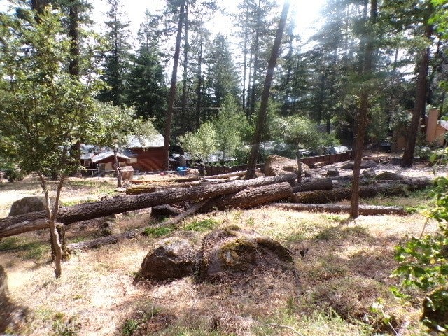 8020 Soda Bay Road