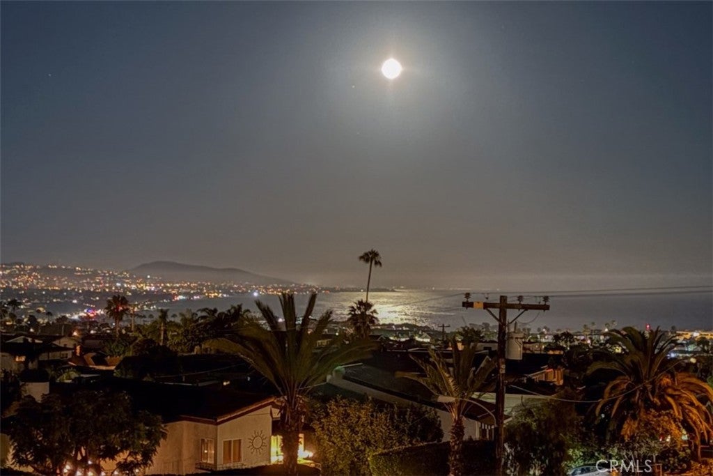 24386 Vista Point, Dana Point CA 92629 - Photo 47