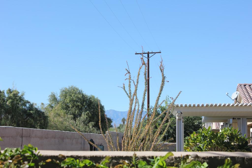 Sun City Shadow Hills (30921) - Residential