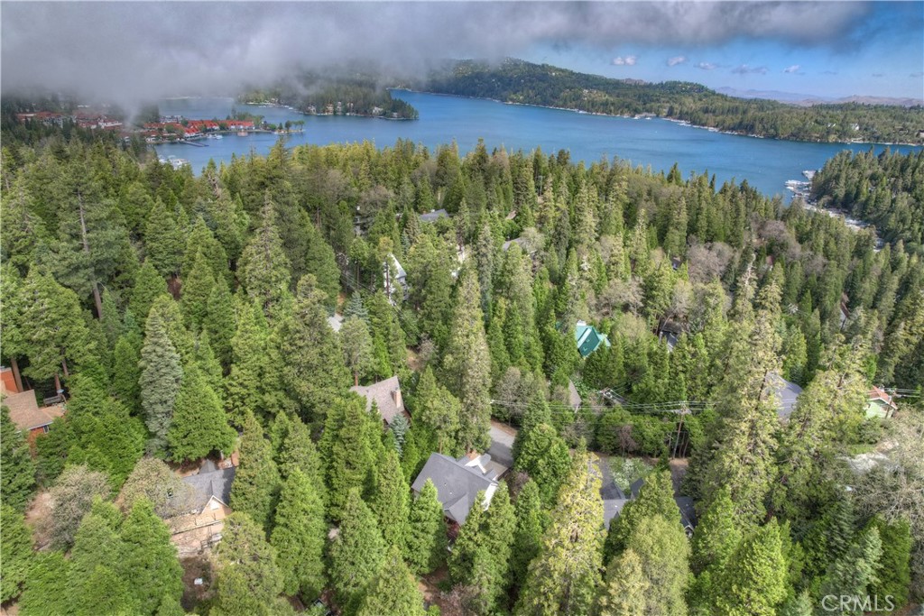 28589 Shenandoah Drive