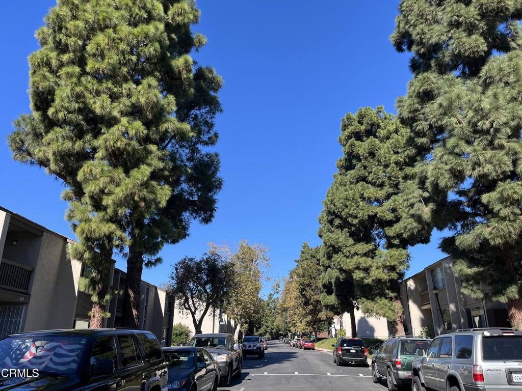 Todd Ranch 3 - 225603 - Residential