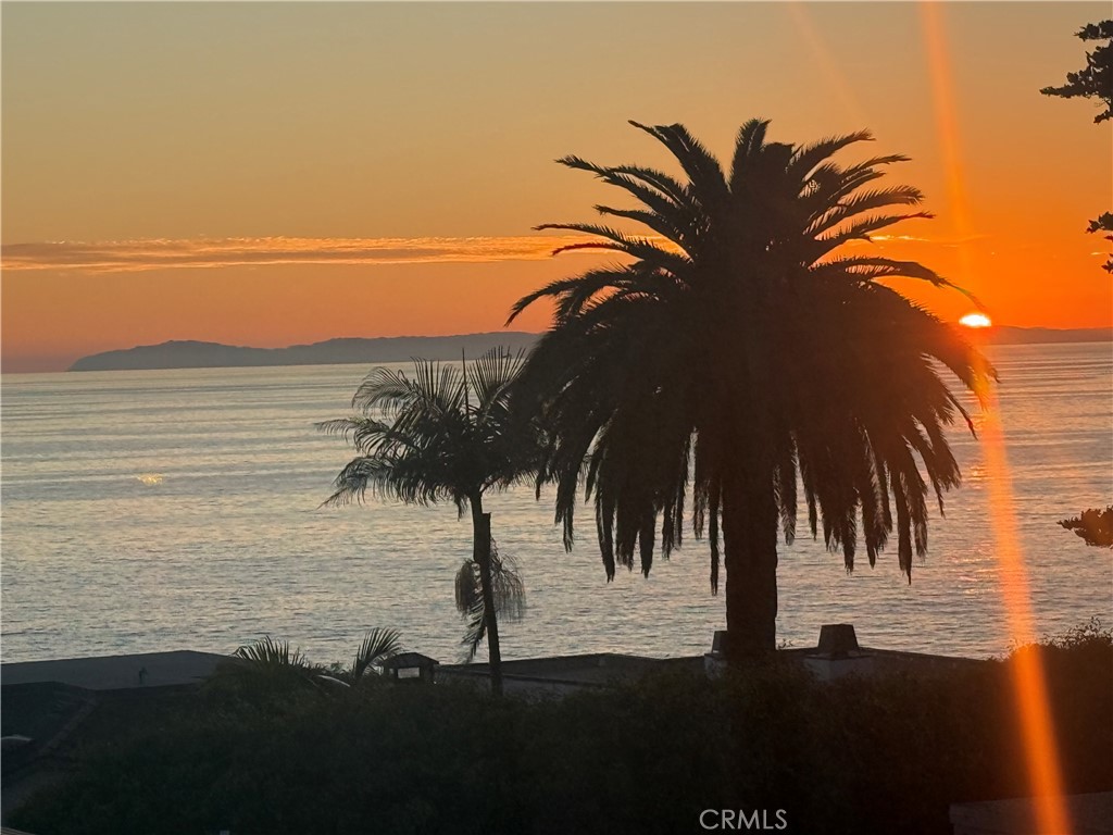 Woods Cove (WC) - Residential