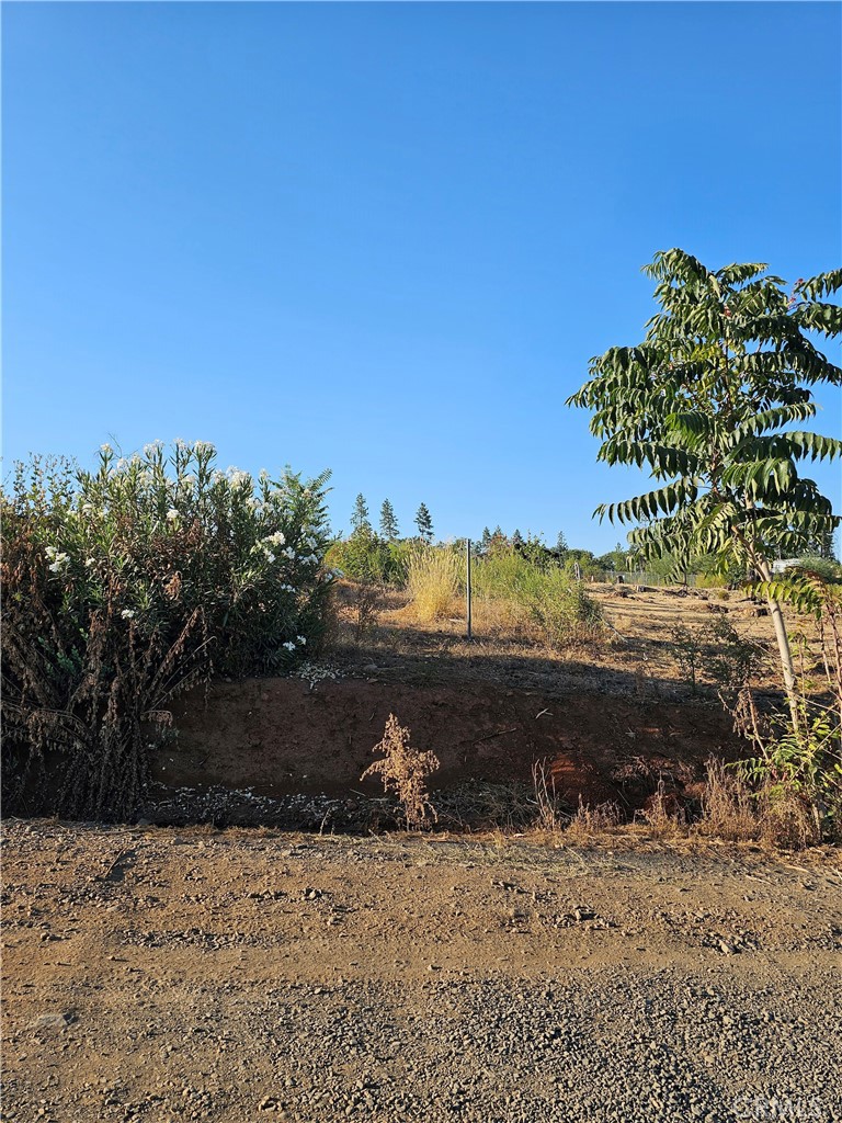 This lot has just a little slope, but very buildable. Seller has been paying the PID Ready to Serve. New homes are being built on lots close. Bennett is off So. Libby, turn left and it is the 2nd lot on that road, and is just a little under 1/2 acre. The septic report states the tank did not make it after the fire, but the leach lines are doing ok. This lot has been cleared per the TOP requirements. Town services are not far. The fire station on Pearson and Newland is there for your safety. There are 3 parks and a dog park in town, plus a horse area and baseball fields. Good access to shopping and restaurants. Turn right on Pearson and it is just a few miles to Lake Oroville, Lime Saddle Marina for your boating or fishing desires. Take a drive by and see if this lot will work or your buyer.