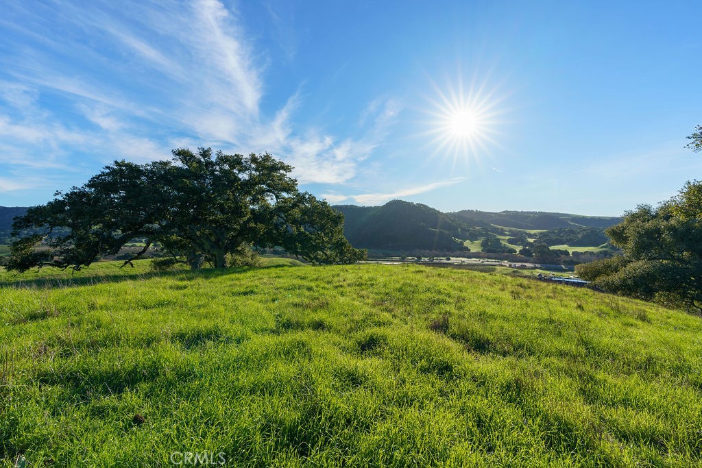 ANZA Vineyard Estates - Land