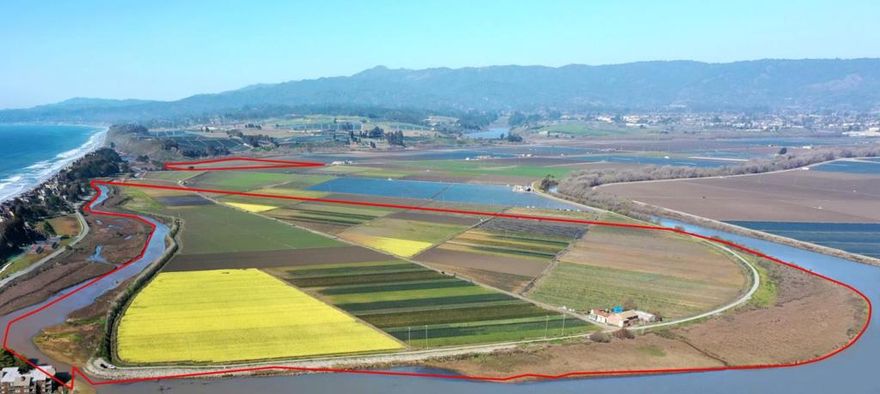 The Beach Road Ranch is a prime 269.94 gross acre (219.4+/- usable/farmable acres) irrigated row crop ranch located in the highly desirable Beach Road farming district, just west of Watsonville. The offering represents a rare and unique opportunity to acquire a highly productive, certified organic, irrigated row crop ranch in the Beach Road farming district. This location benefits from a cool coastal climate, which allows a variety of fresh vegetables and berries to thrive. The ranch is primarily composed of Clear Lake clay, a prime soil for the area. Irrigation water is supplied by two Pajaro Valley Water Management Agency (PVWMA) turnouts and distributed via high-pressure PVC lines. The ranch consists of two separate parcels, which contain approximately 226.37 acres and 43.57 acres respectively, each with its own PVWMA turnout. This is a prime ranch, ideal for vegetable and berry farming.