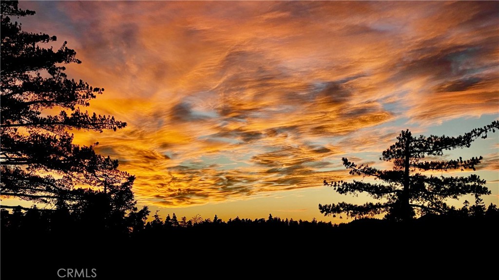 Sky Forest (SKYF) - Residential