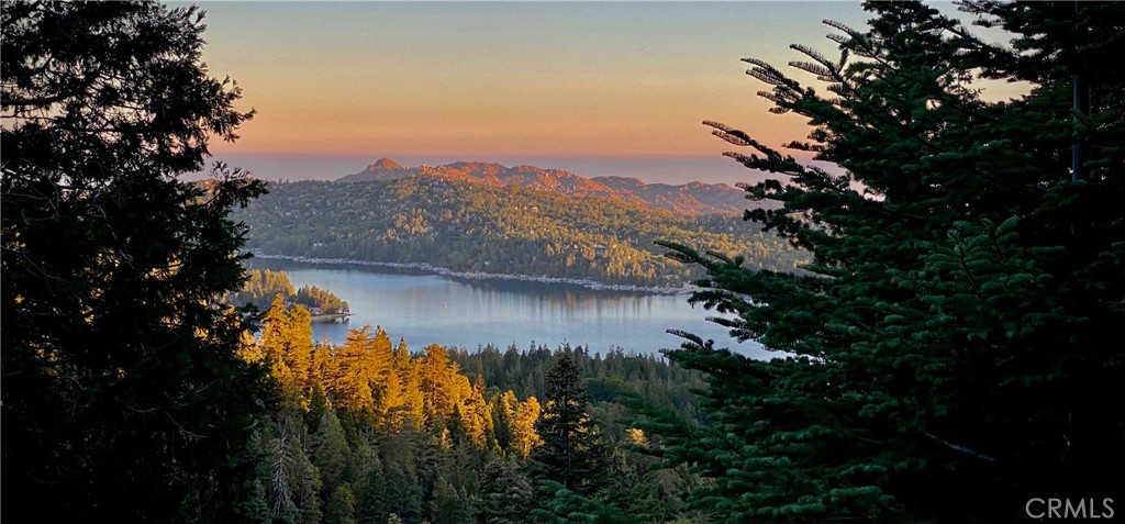 Sky Forest (SKYF) - Residential