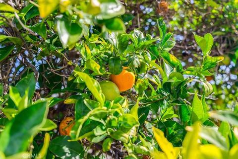 Tiny photo for 1176 Maple Street, Arroyo Grande, CA 93420 (MLS # PI26057716)