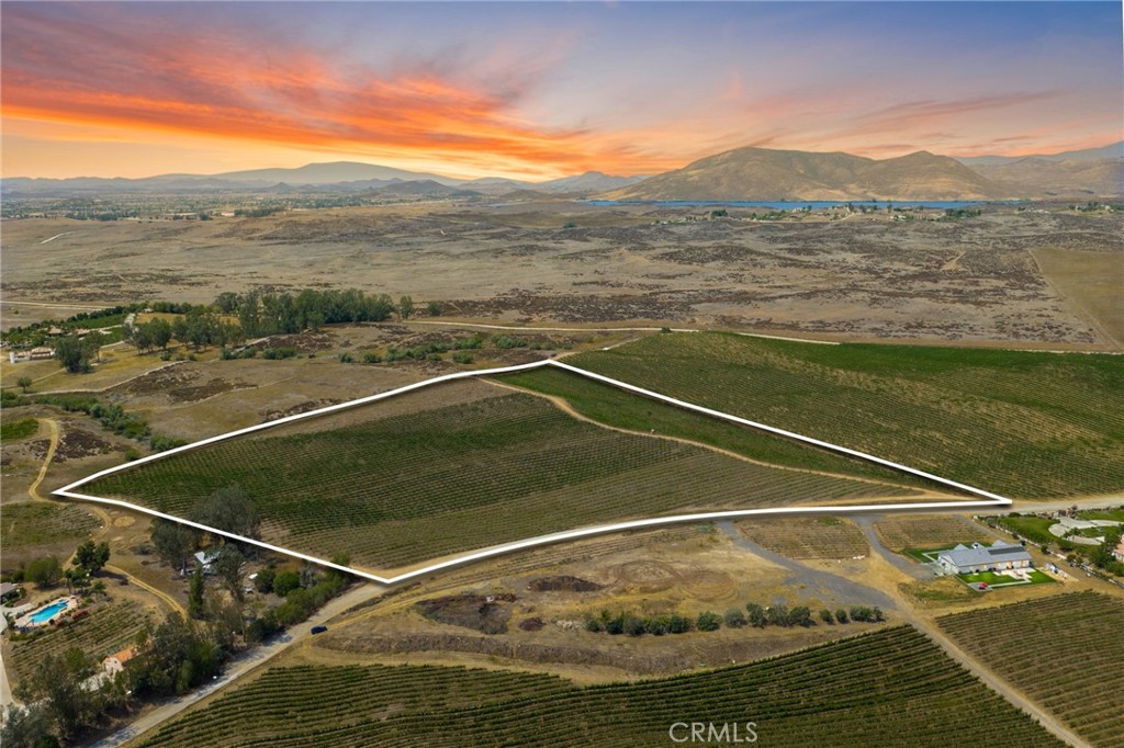 This vineyard is one of the best available sites for a custom home or winery that is available in the Temecula Wine Country. Zoned "Wine Country - WC", with a mature vineyare, existing water meter, fire hydrants located in the street, electricity available adjacent to the parcel - this will be the perfect parcel for your Winery area project. The topography is beautiful and gentle, and will require very little grading for a home or winery location.
The vineyard covers approximately 17.5 acres and contains the following varietals: Cabernet Sauvignon, Cabernet Franc, Merlot, Malbec, Sauvignon Blanc, Semillon, and Grenache. The irrigation system has recently been replaced, and is in excellent condition. Water Meter is included, located across Berenda Road from Wilson Creek Vineyards.