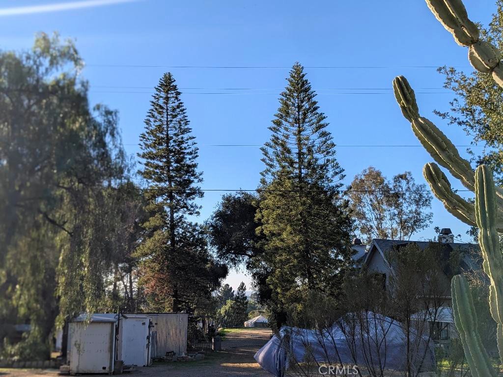 9734 Chocolate Summit