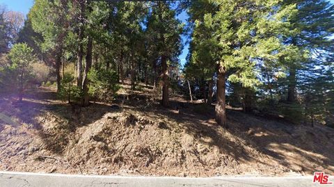Photo of 0 Ponderosa Drive, Cedar Glen, CA 92321 (MLS # 25524469)