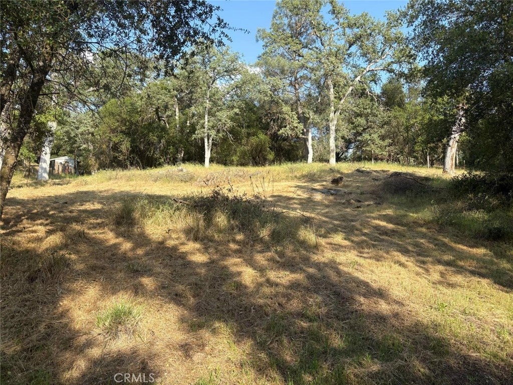 0 Chickasaw Road