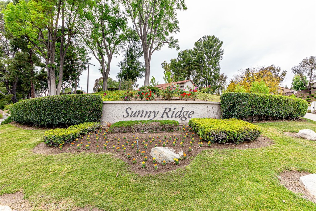 Sunny Ridge (SURG) - Residential